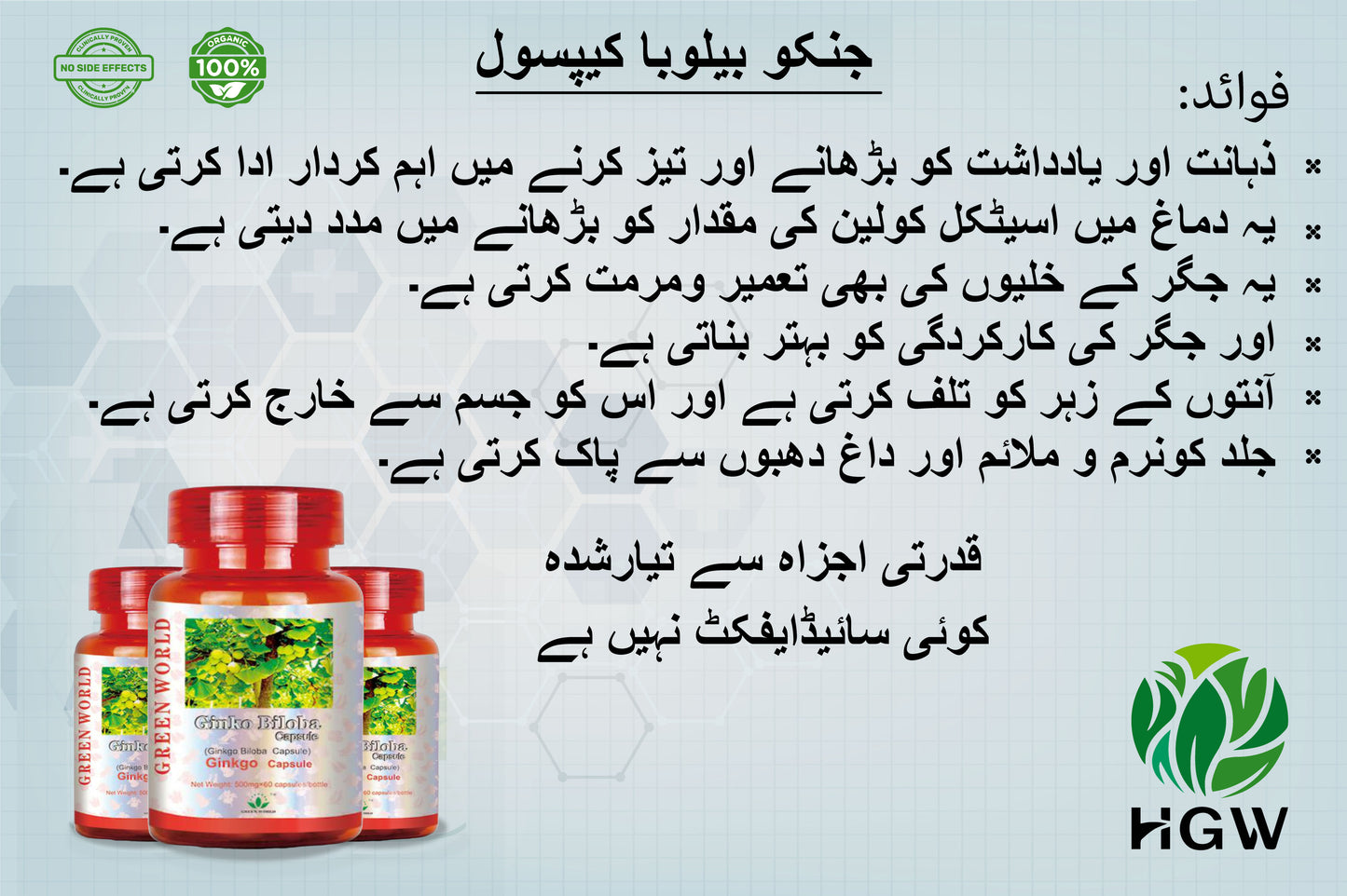 Ginko Biloba Capsule 500 mg 60 Capsule