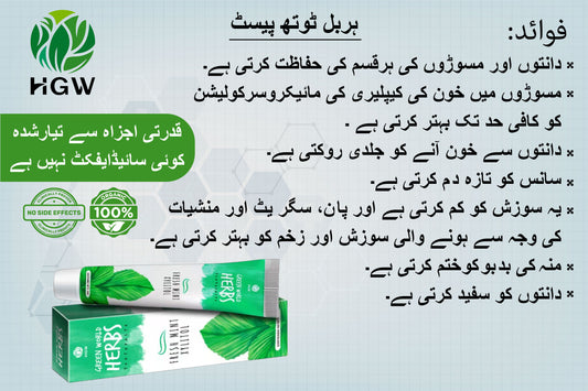 ﻿ HGW Herbs Toothpaste 120G